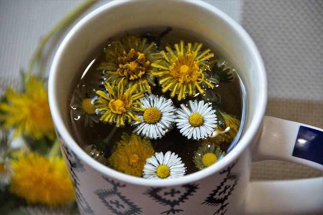 Dandelion Tea during pregnancy